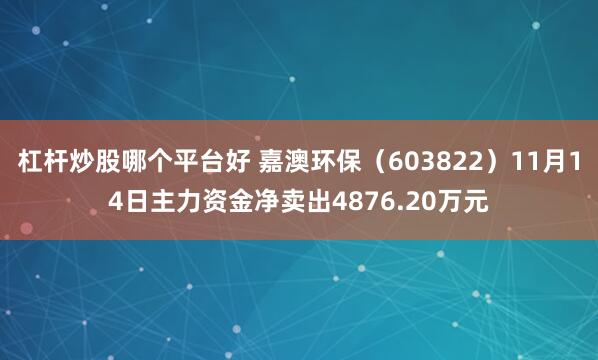 杠杆炒股哪个平台好 嘉澳环保（603822）11月14日主力资金净卖出4876.20万元